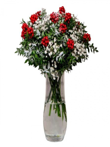 Silindir Vazoda Kokinalar