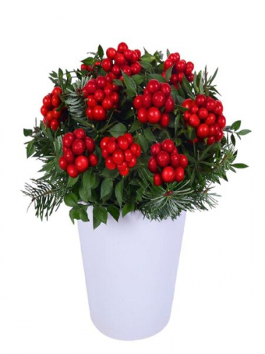 Aşk Dolu Yılbaşı